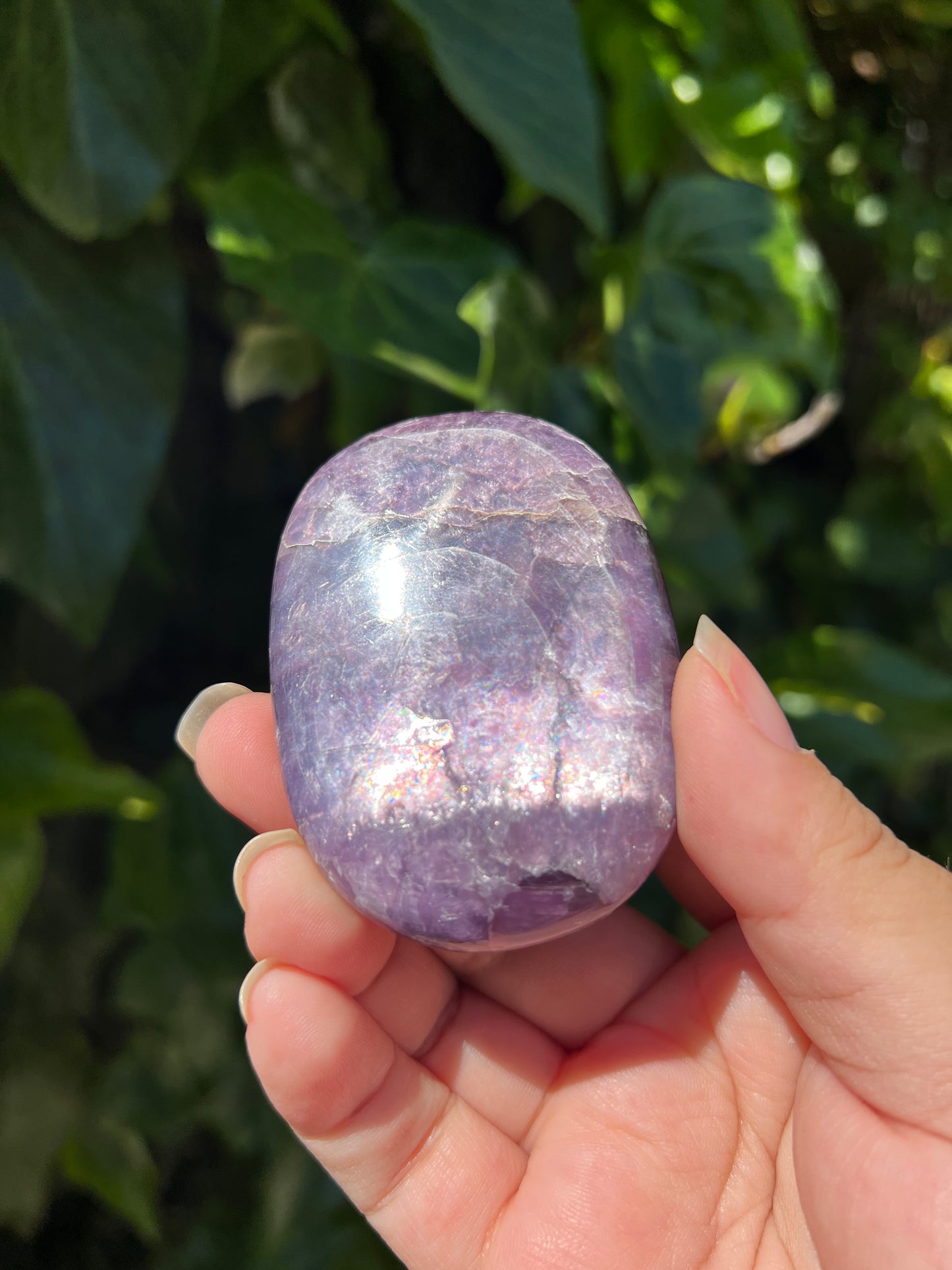 
                  
                    Gem Lepidolite Palm Stone
                  
                
