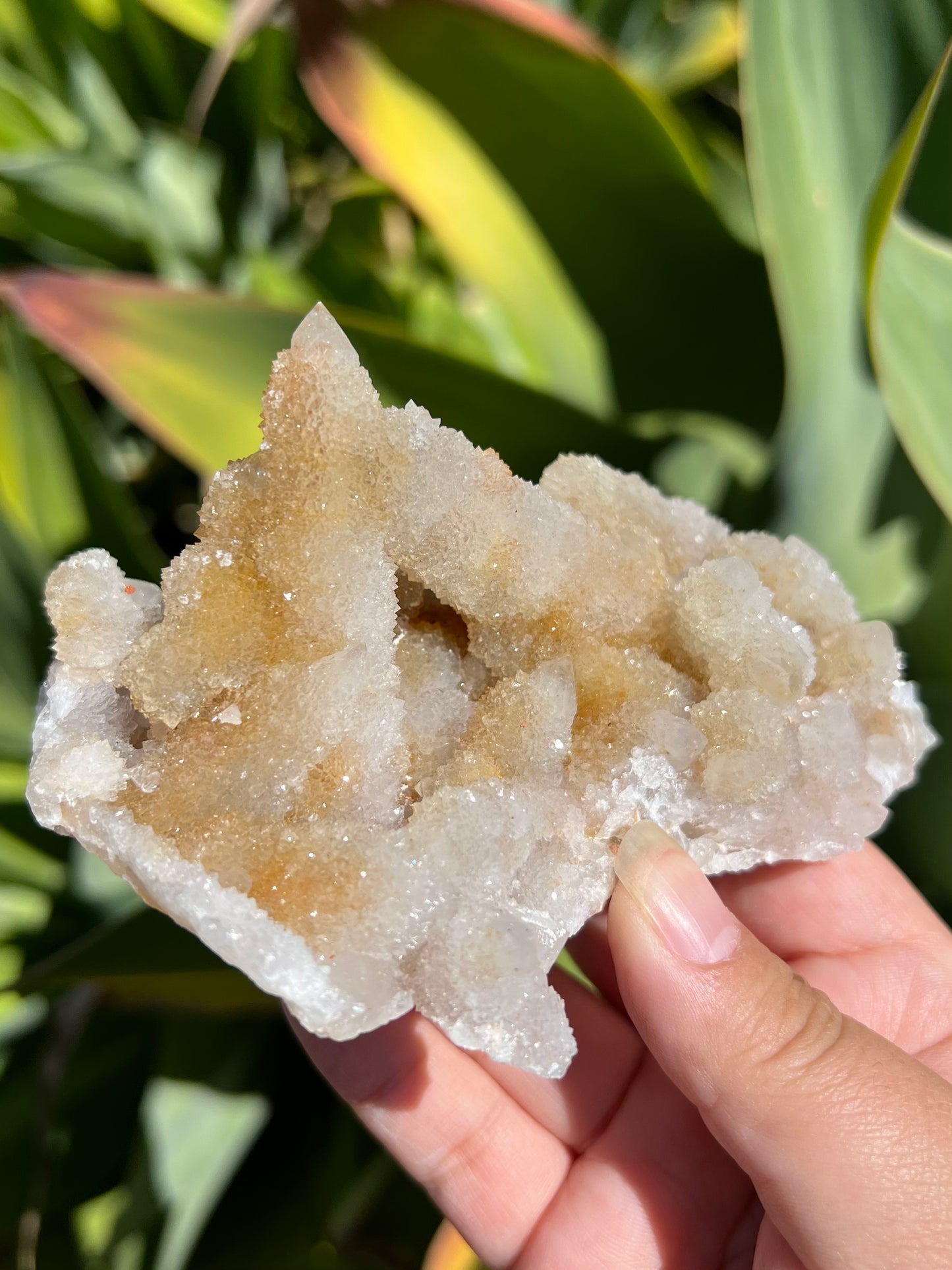 
                  
                    Spirit Quartz Cluster
                  
                