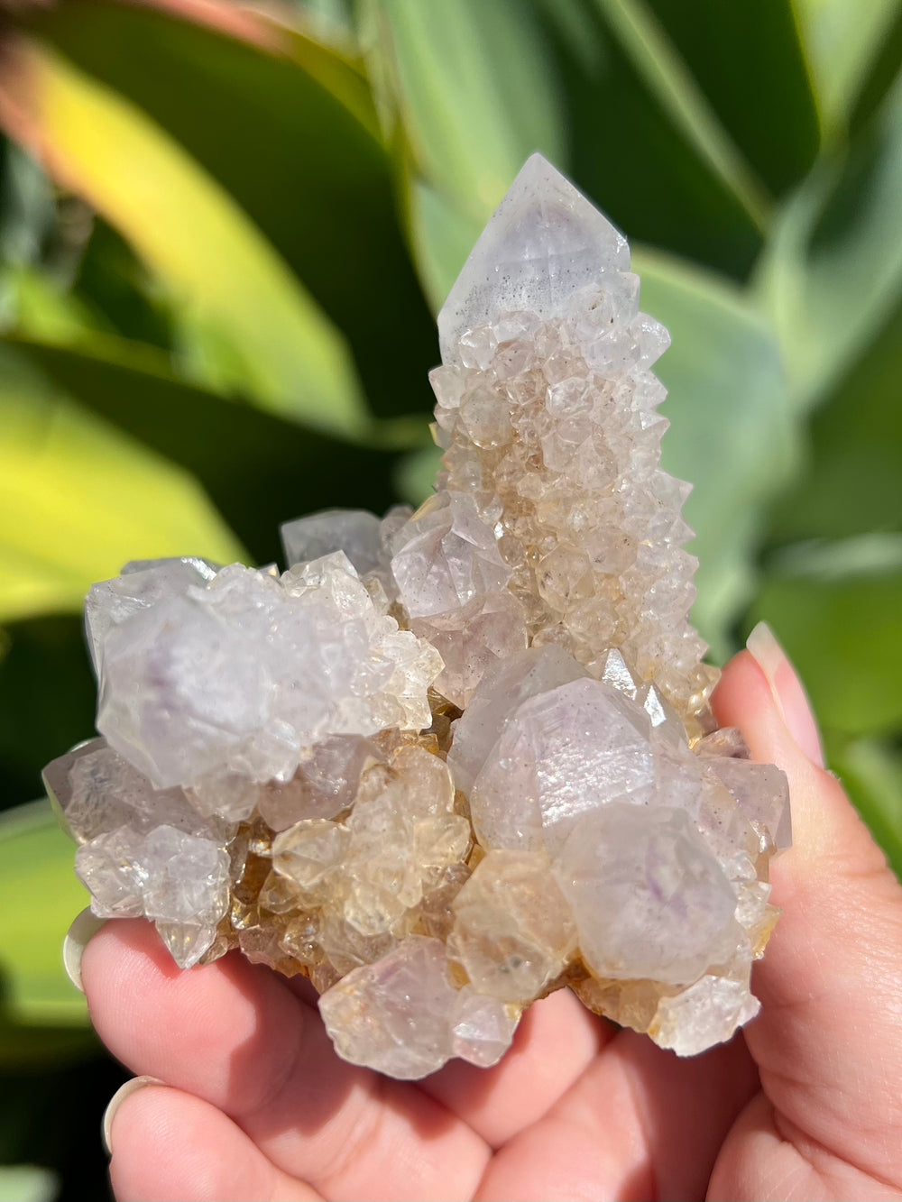Spirit Quartz Cluster