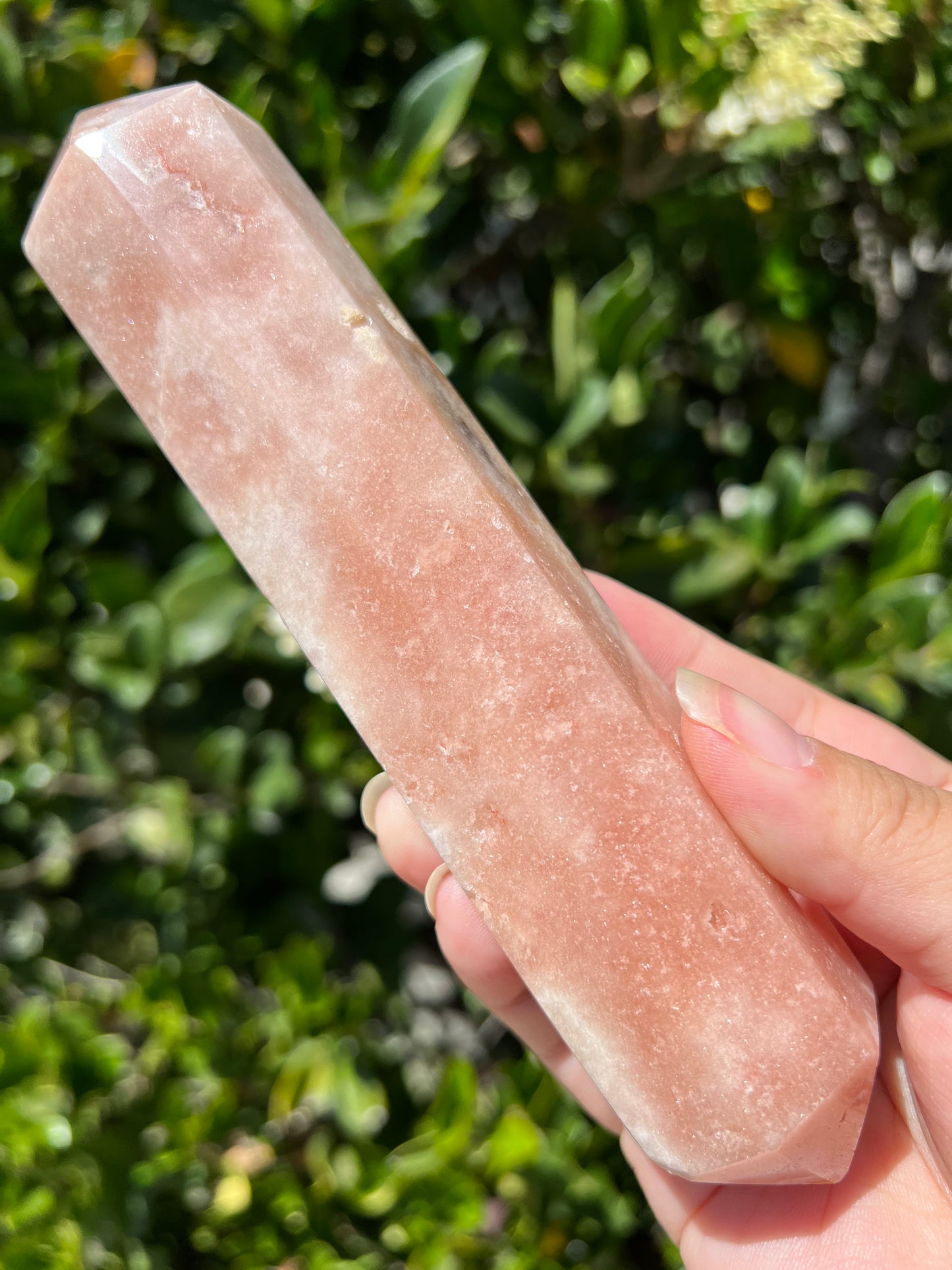 
                  
                    DT Large Pink Amethyst
                  
                