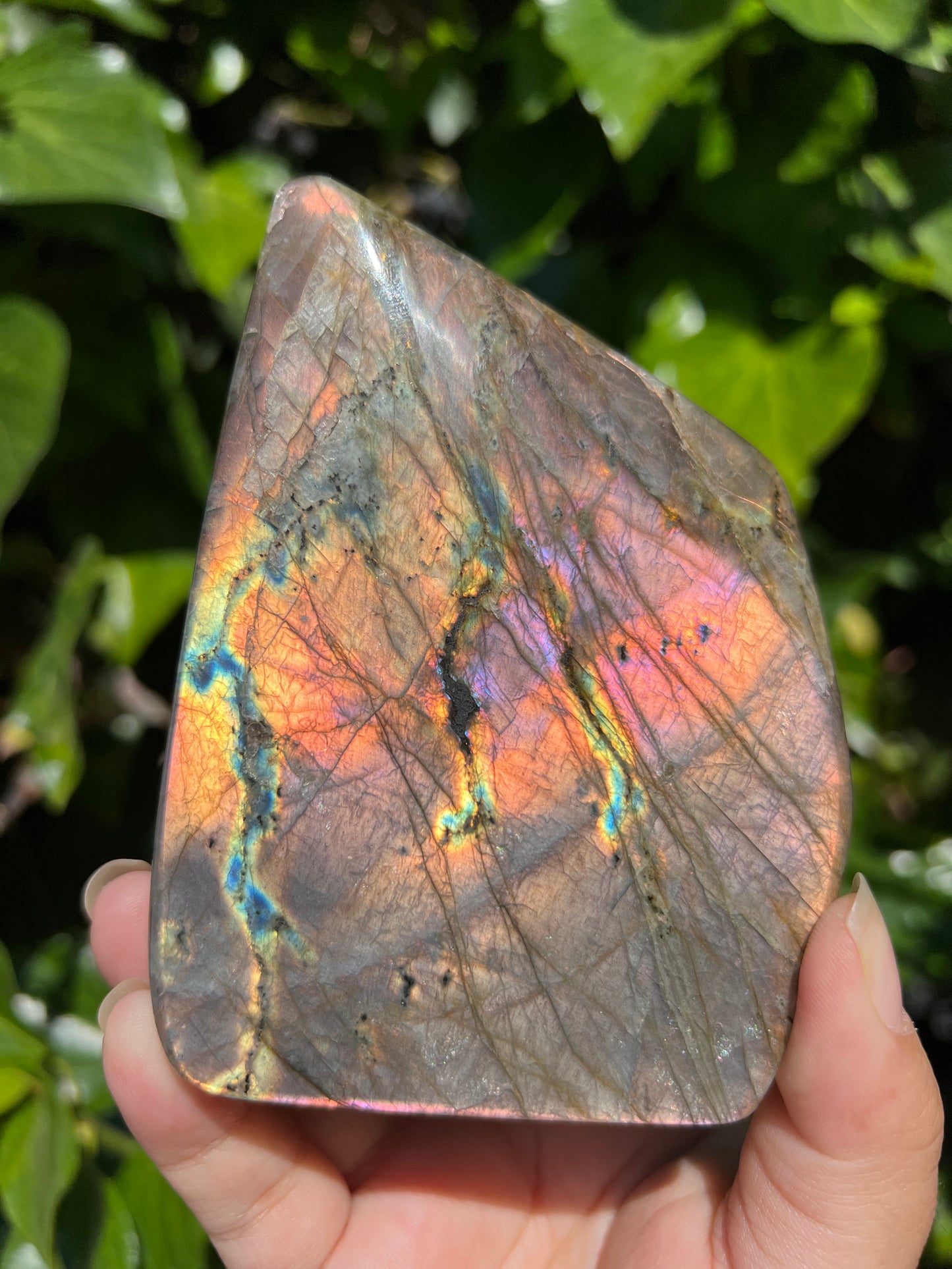 
                  
                    Pink Flame Labradorite Freeform
                  
                