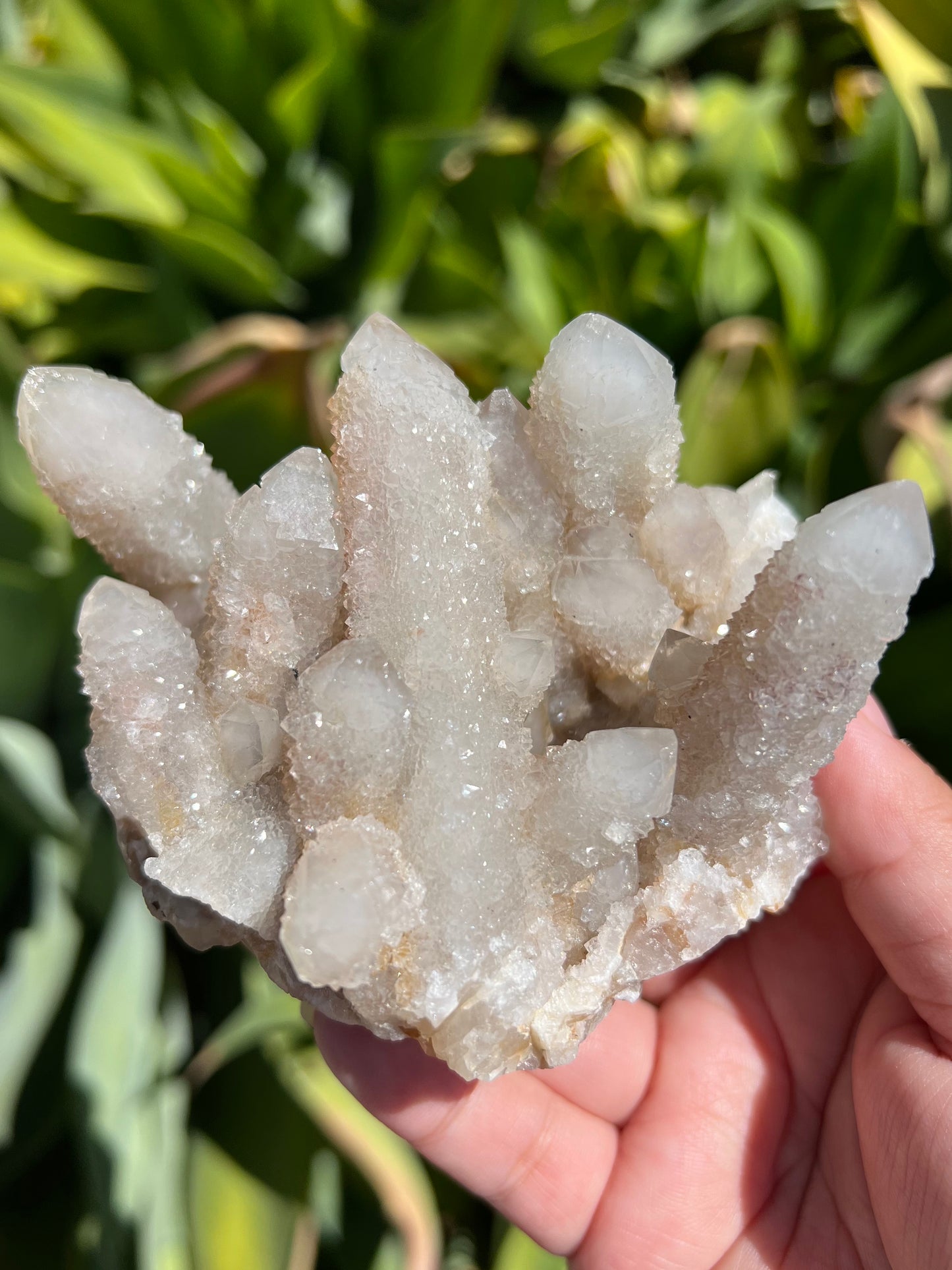 
                  
                    Spirit Quartz Cluster
                  
                