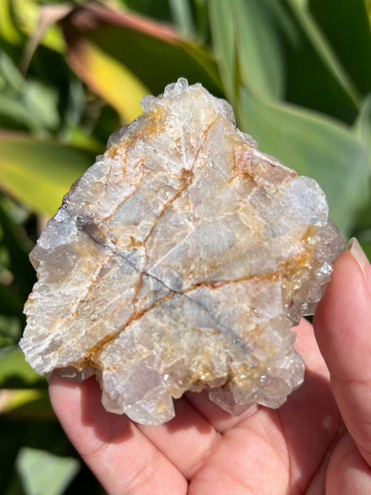 
                  
                    Spirit Quartz Cluster
                  
                