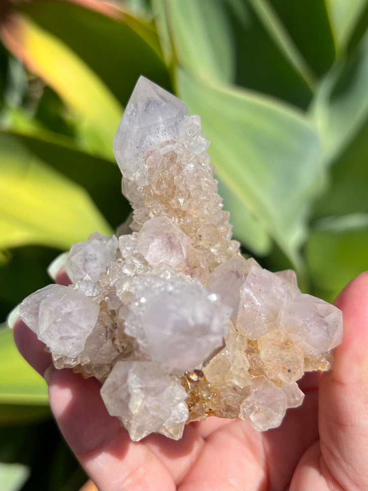 
                  
                    Spirit Quartz Cluster
                  
                