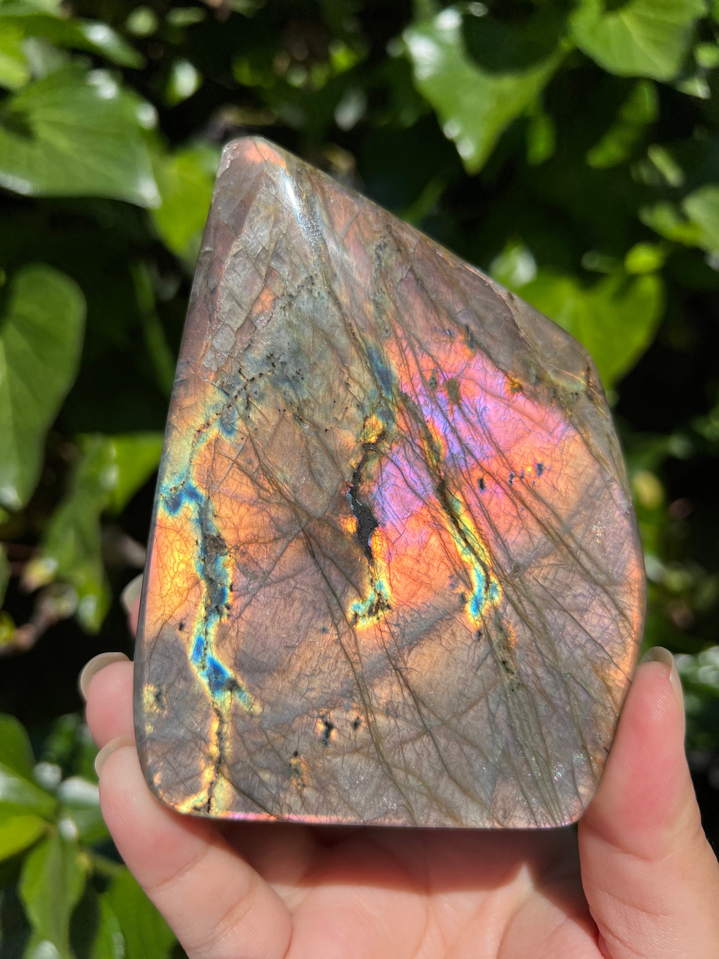 
                  
                    Pink Flame Labradorite Freeform
                  
                