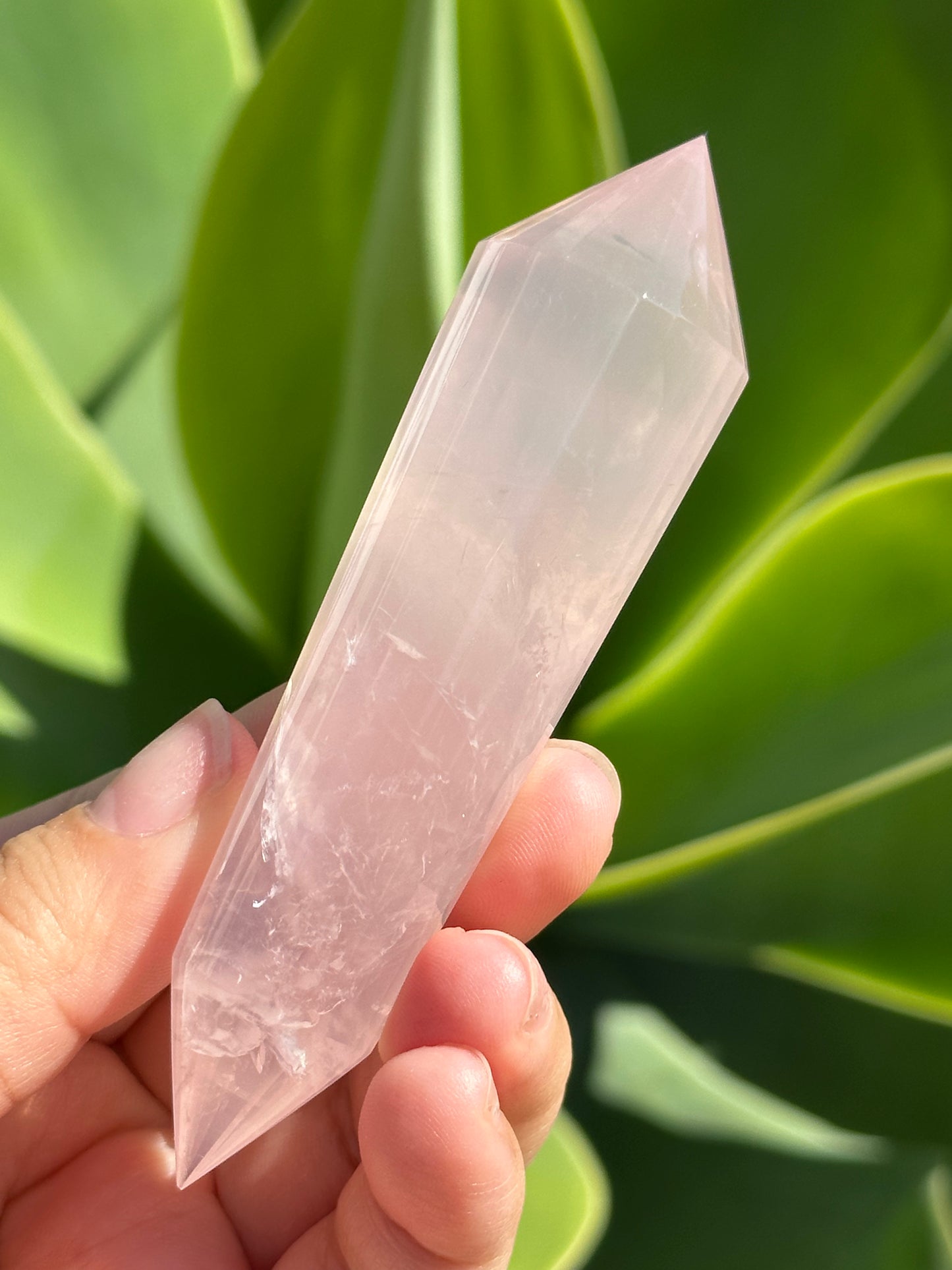 
                  
                    Rose Quartz Vogel
                  
                