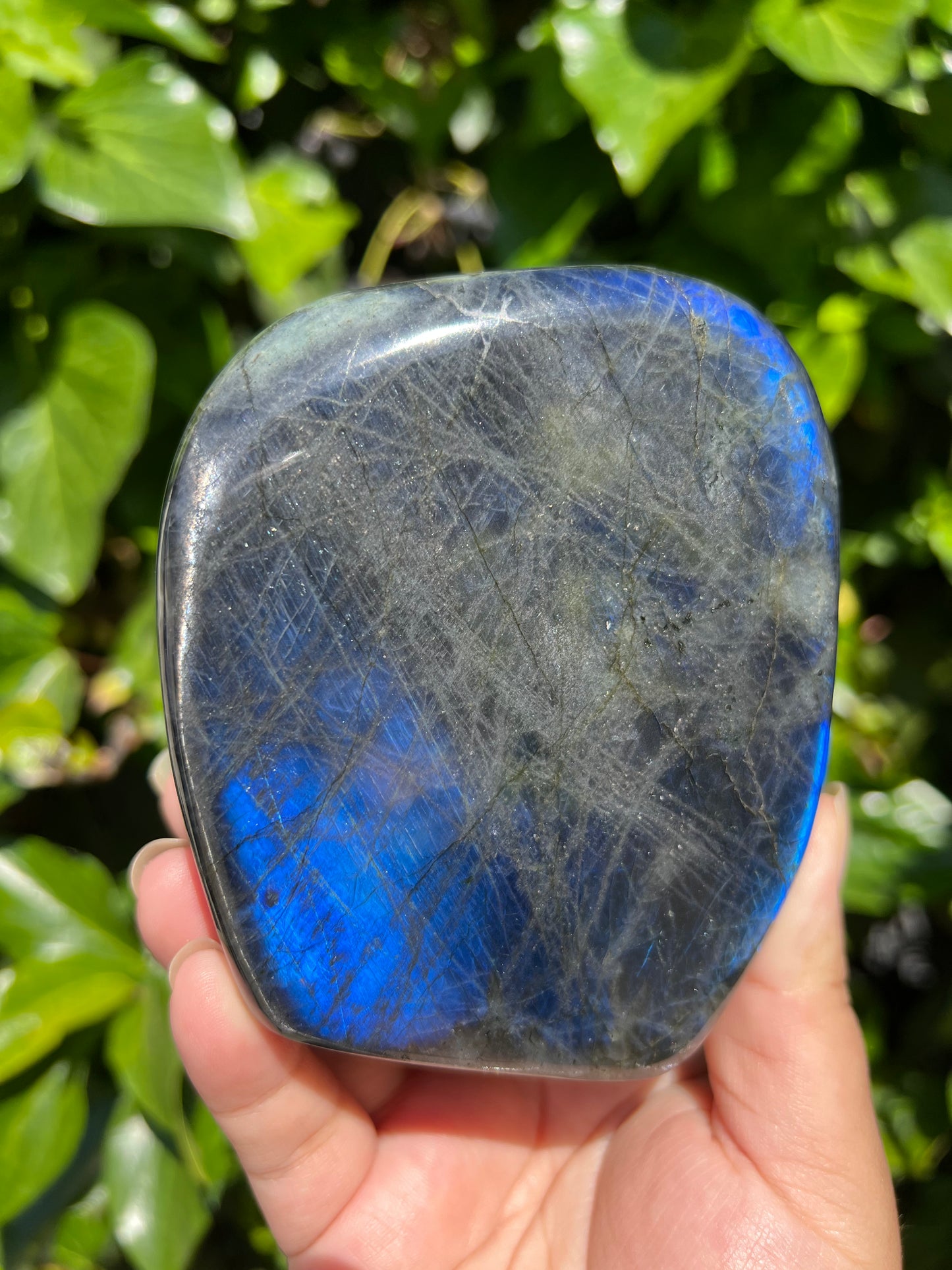 
                  
                    Electric Blue Labradorite Freeform
                  
                