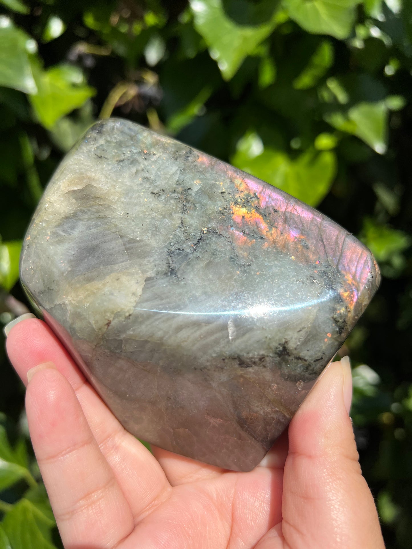 
                  
                    Pink Flame Labradorite Freeform
                  
                