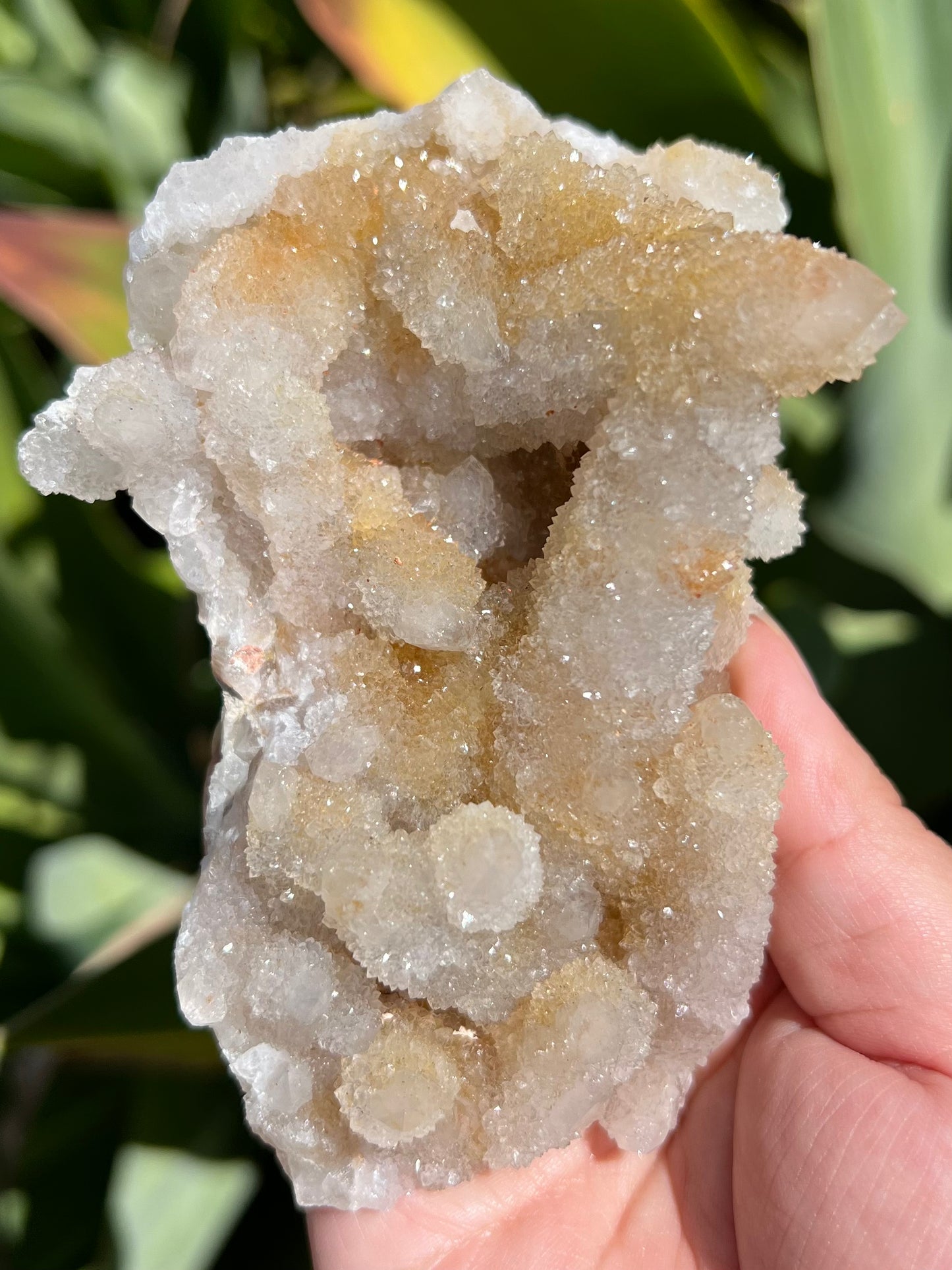 
                  
                    Spirit Quartz Cluster
                  
                